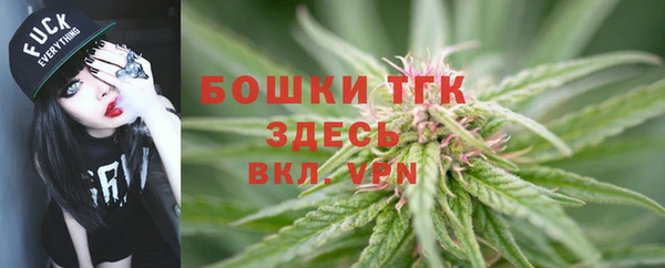 крисы Балахна