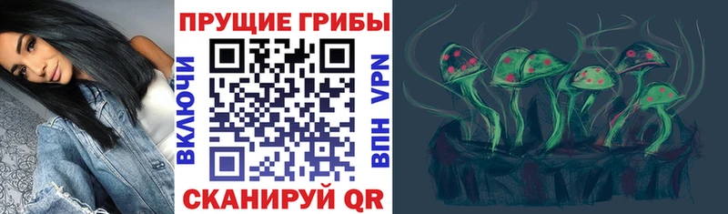 Псилоцибиновые грибы мицелий  Барабинск 