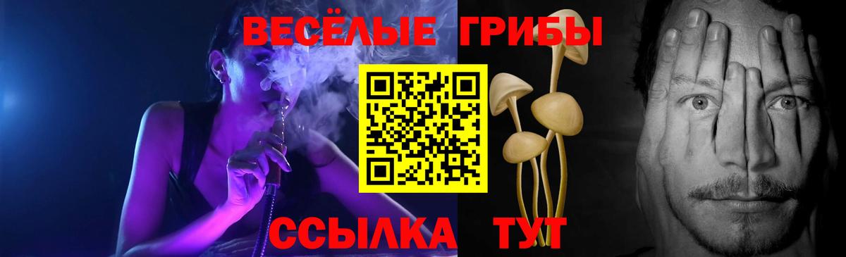 Галлюциногенные грибы прущие грибы  Вход с VPN  Барабинск 